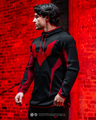 BATMAN™ BEYOND Ultimate Collectors Bundle